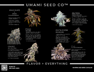Umami Seed Co Catalog-WINTER (1).png